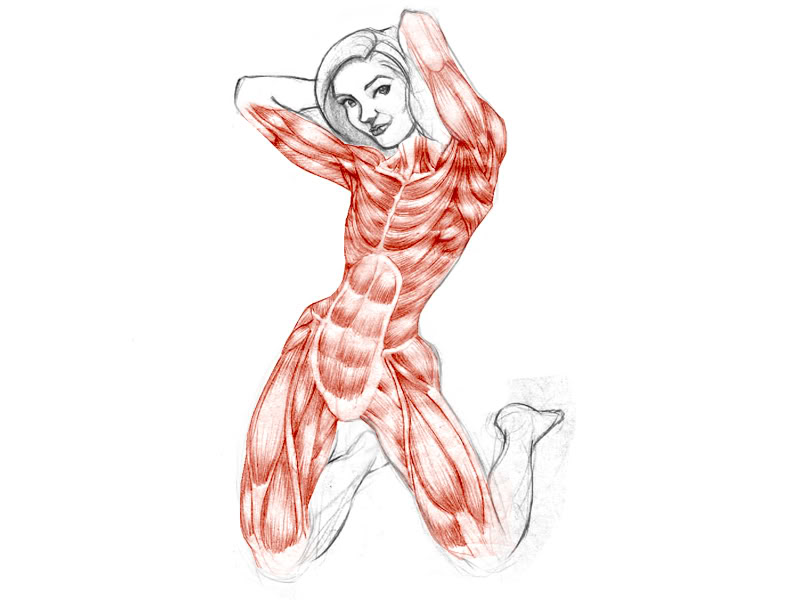 Girl Anatomy 03 M_Muscle