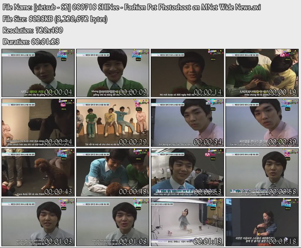 [Special Prj] Happy 3rd anniversary of shining SHINee - Awards Vietsub-S2080718SHINee-FashionPetPhotoshootonMNetWideNews