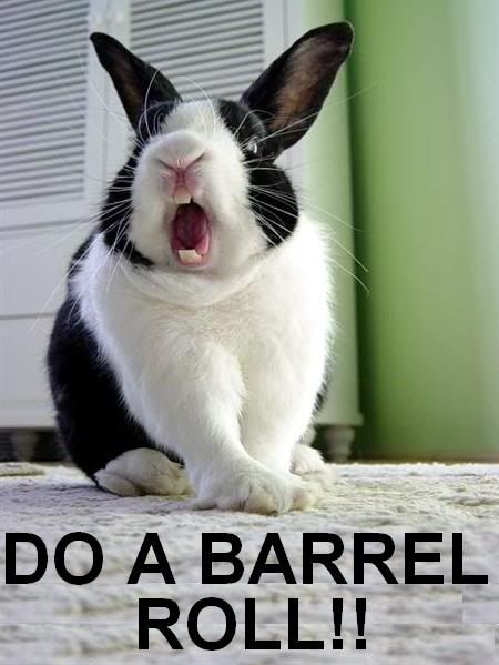 A funny picture topic Do-a-barrel-roll