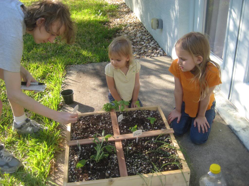 Square Foot Hero Gardens 20090422044-1