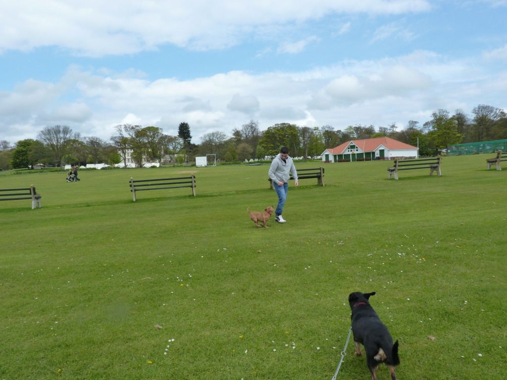 Bank holiday walk with my 3 babies P1040160