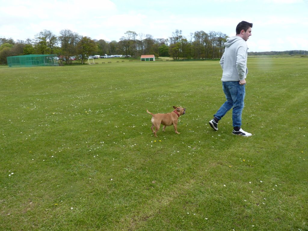 Bank holiday walk with my 3 babies P1040163