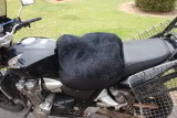 honda cb 1300,  205/17 car tyre, cushion seat for long haul Aussie DSC_00721567