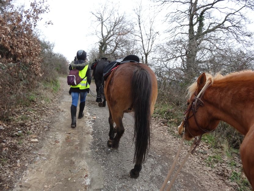 Sortie le 27 janvier 12_zpsaa5547ca