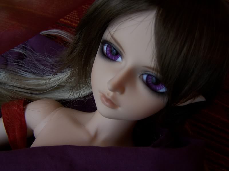 Kesten (Chiwoo Elf Normal Skin - CP) - Purple eyes P. 3 - - Page 3 100_2897-1