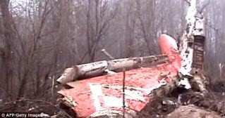 I don't believe the Polish plane hit trees and fell apart. Polishplane