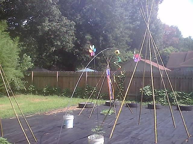 Our Veggie Garden Moreoftheteepees