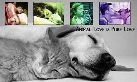 DE LA TENDRESSE ... AVANT TOUTE CHOSE - Page 4 Animallove-1