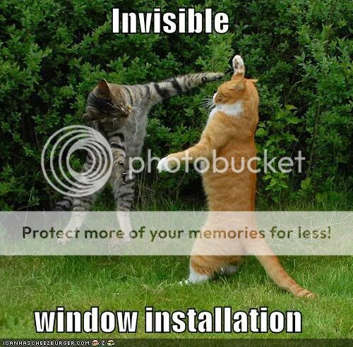 Lovely animals Funny-pictures-cat-install-invisibl