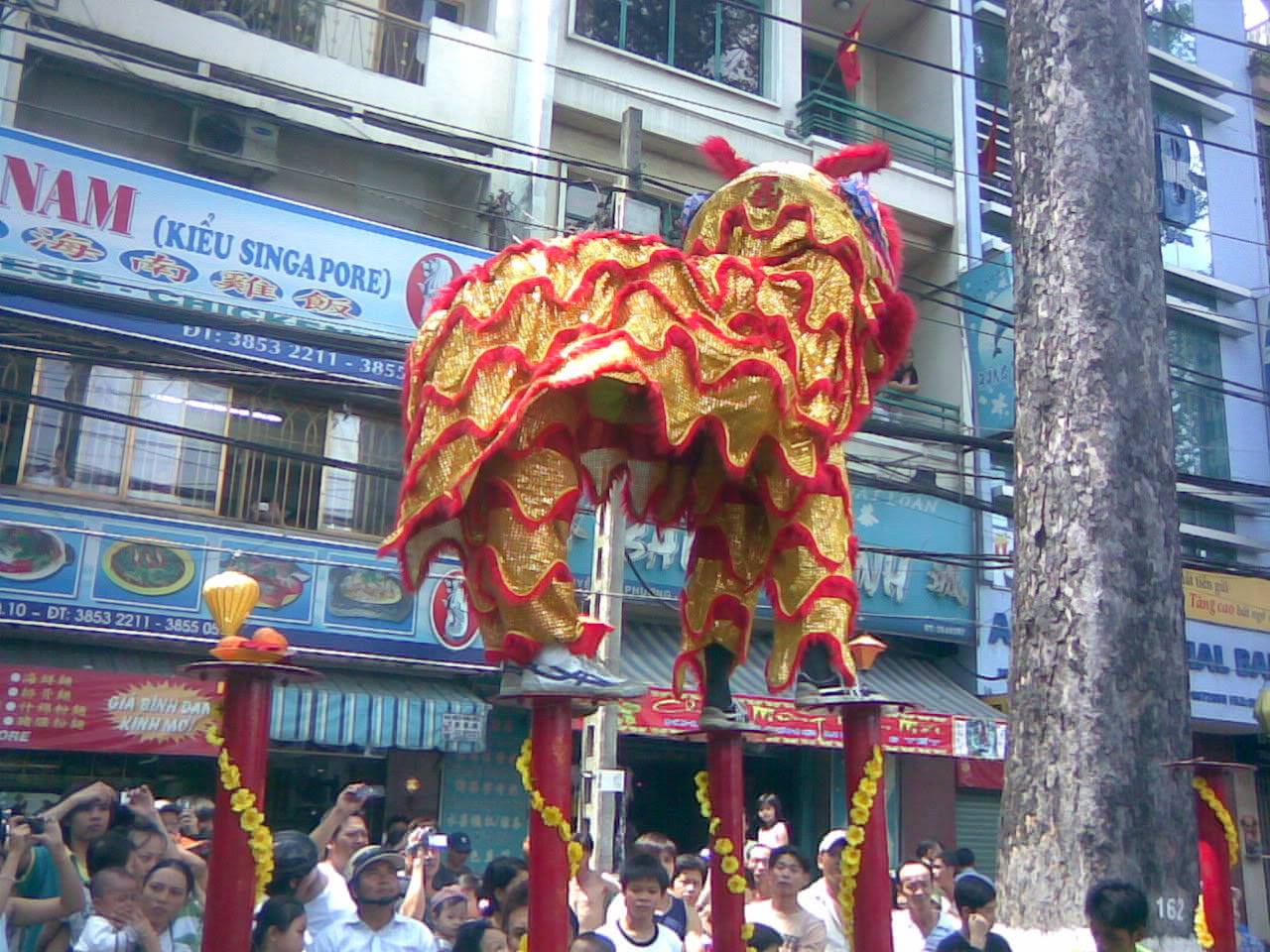 Đoàn Trung Nghĩa Đường tết 2010 Anh406