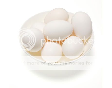 Free "Egg Handling & Care" Guide, Poster, & DVD Hard-boiled-egg-lg