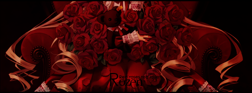 Red roses  344212