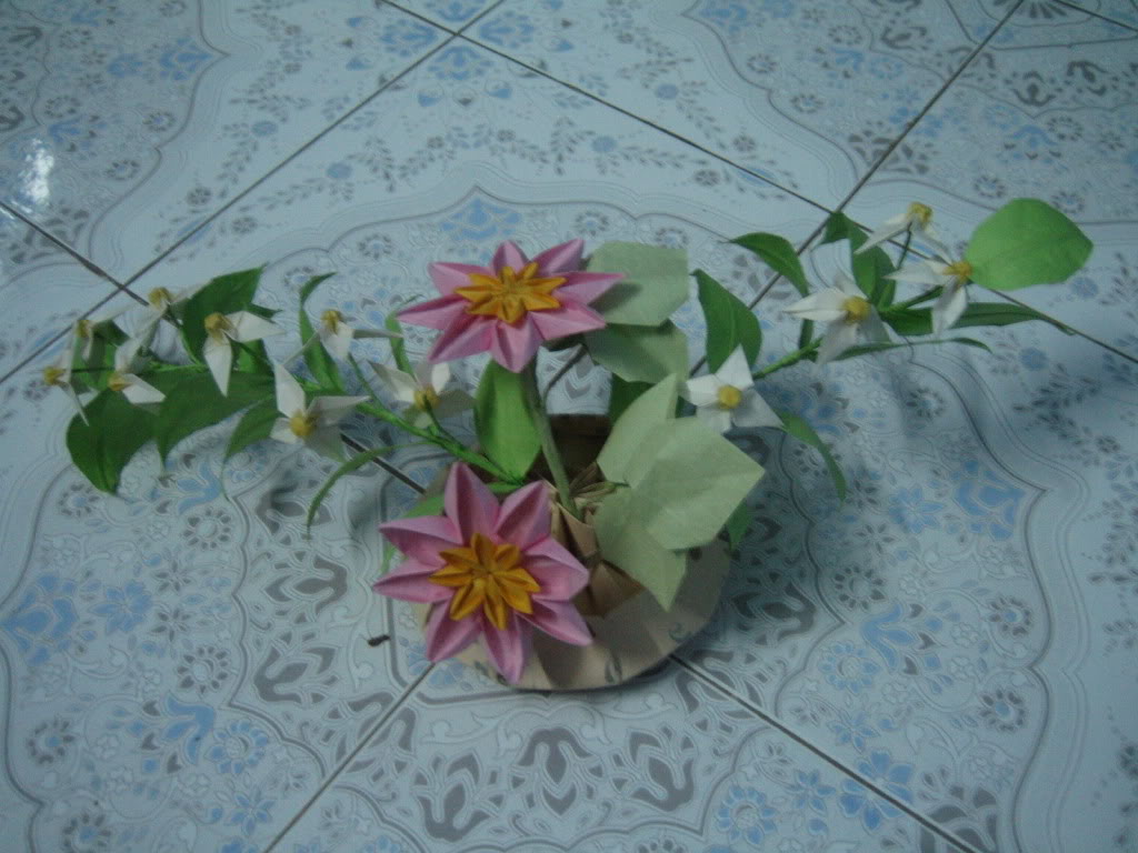 giới thiệu câu lạc bộ xếp giấy origami IMG_0261