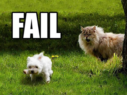 OWNED+FAIL Fail_dogs