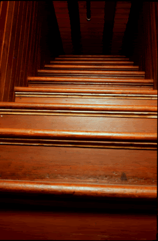 The Winchester Mystery House Stairs