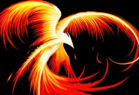 Akugo's Revenge Phoenix