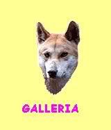 Galleria