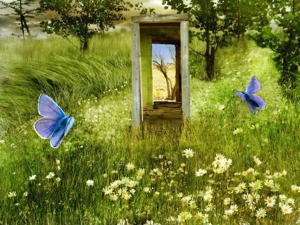 Leptiri Butterfly_Door