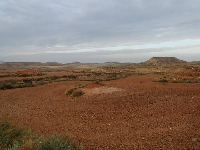 Circular por Bárdenas Reales DSC05609