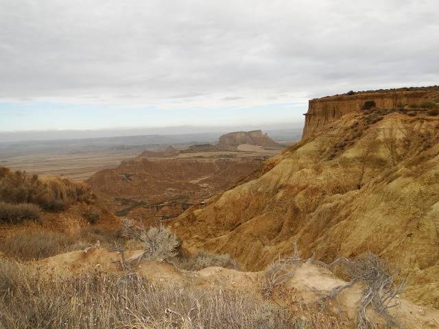 Circular por Bárdenas Reales DSC05708