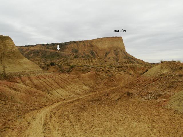 Circular por Bárdenas Reales DSC05729