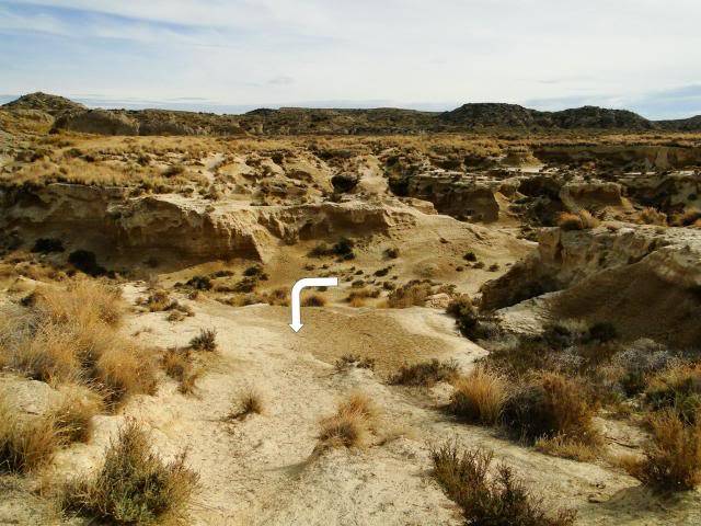 Circular por Bárdenas Reales DSC05844