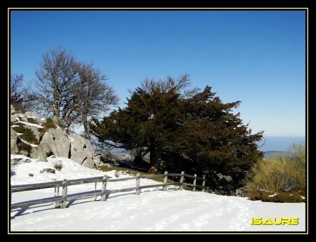 Braña de los Tejos desde Lebeña DSC08683