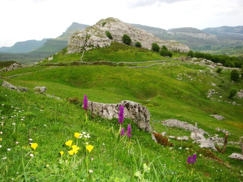 Castro Valnera 1.718m. y alguno más. CASTROVALNERA261