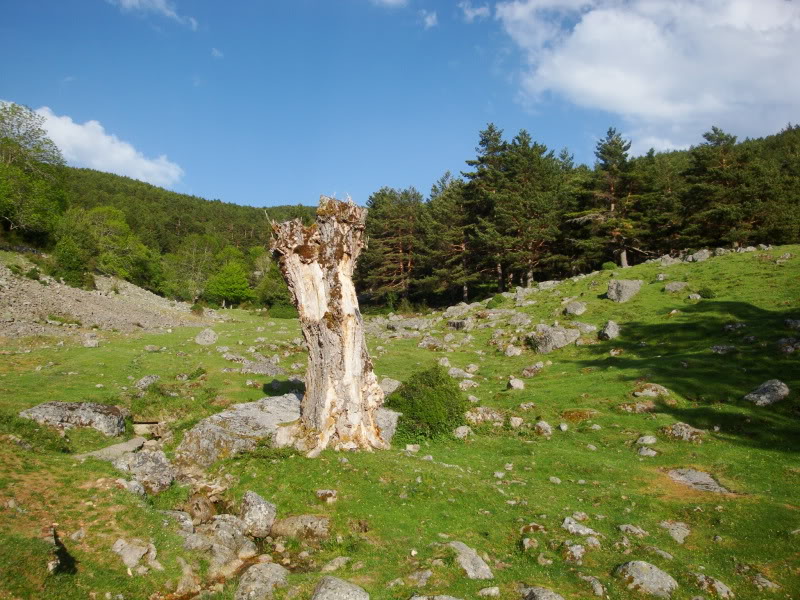 Cebollera 2.142m. y alguno más CEBOLLERA017