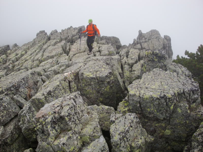 Cebollera 2.142m. y alguno más CEBOLLERA110