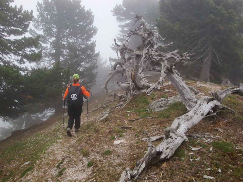 Cebollera 2.142m. y alguno más CEBOLLERA118