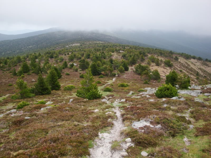 Cebollera 2.142m. y alguno más CEBOLLERA130