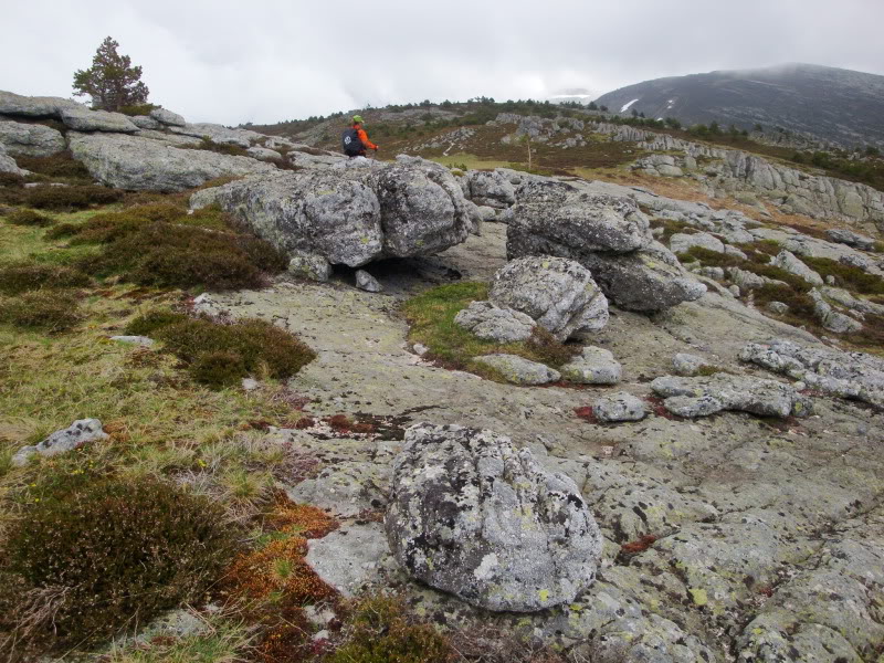 Cebollera 2.142m. y alguno más CEBOLLERA159