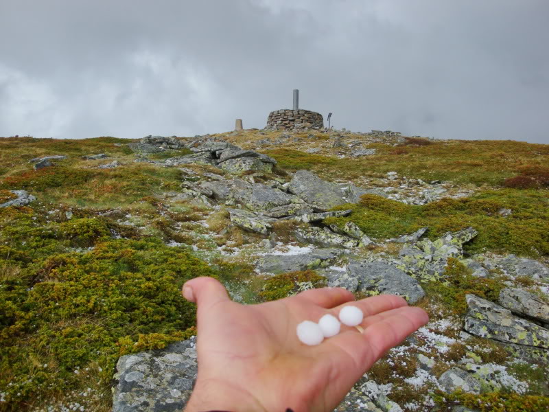 Cebollera 2.142m. y alguno más CEBOLLERA181