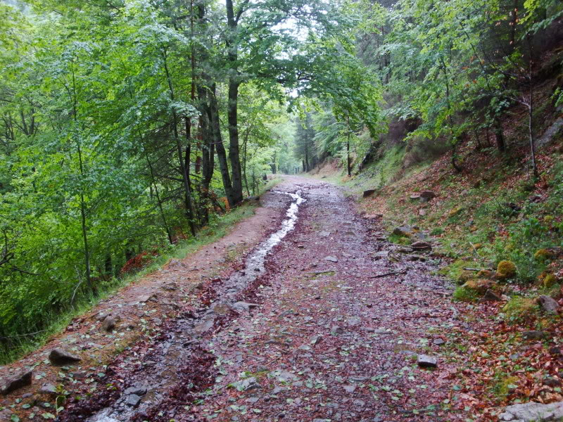 Cebollera 2.142m. y alguno más CEBOLLERA246