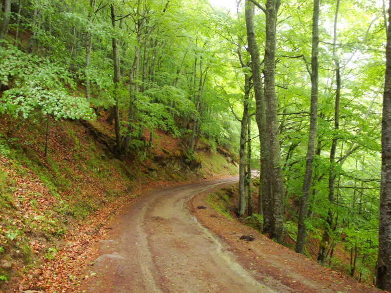 Cebollera 2.142m. y alguno más CEBOLLERA253