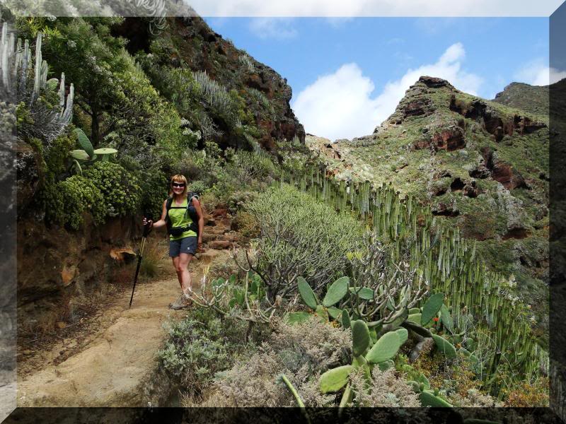 Cruz de Taborno 1.024m. (Tenerife) 101