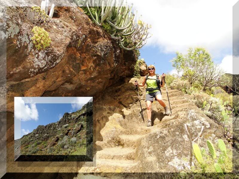 Cruz de Taborno 1.024m. (Tenerife) 102