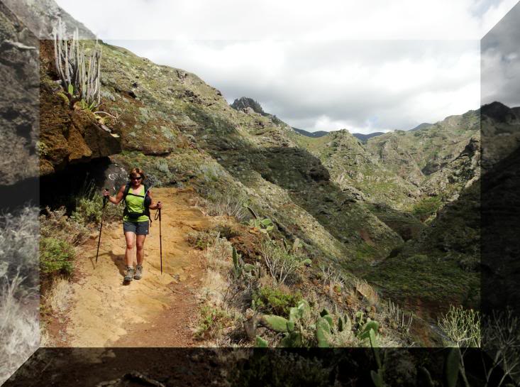 Cruz de Taborno 1.024m. (Tenerife) 110