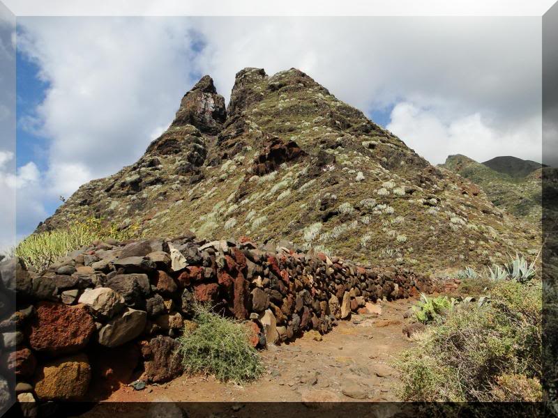 Cruz de Taborno 1.024m. (Tenerife) 112