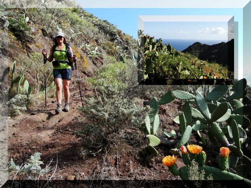 Cruz de Taborno 1.024m. (Tenerife) 12