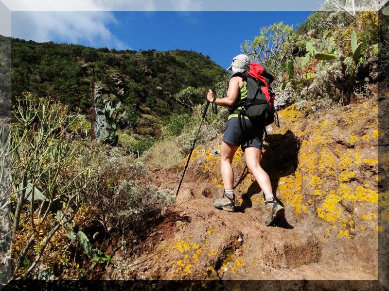 Cruz de Taborno 1.024m. (Tenerife) 13