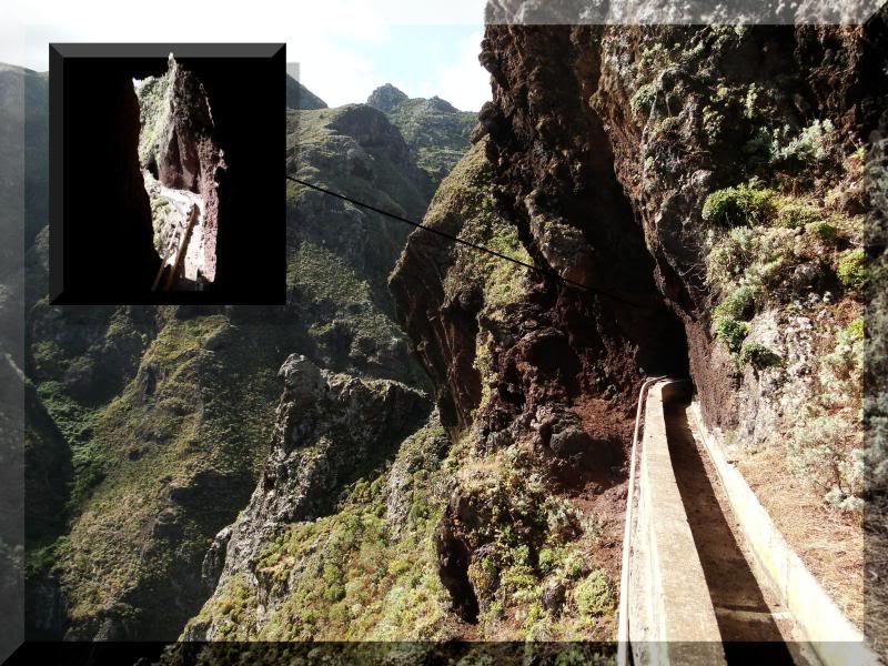 Cruz de Taborno 1.024m. (Tenerife) 19