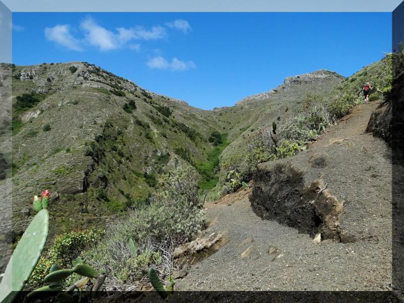 Cruz de Taborno 1.024m. (Tenerife) 41