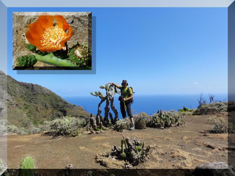 Cruz de Taborno 1.024m. (Tenerife) 50