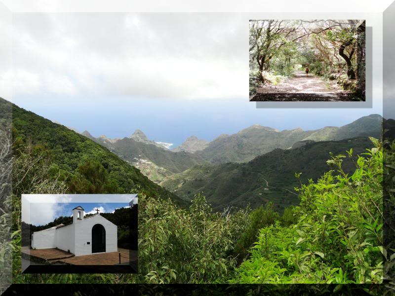 Cruz de Taborno 1.024m. (Tenerife) 62