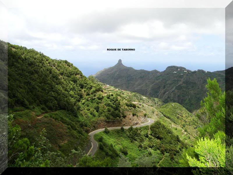 Cruz de Taborno 1.024m. (Tenerife) 74