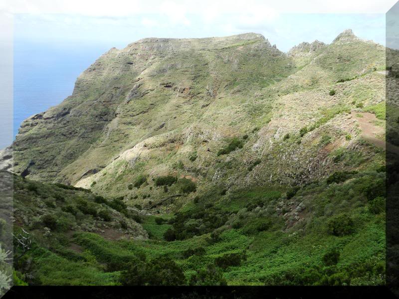 Cruz de Taborno 1.024m. (Tenerife) 84