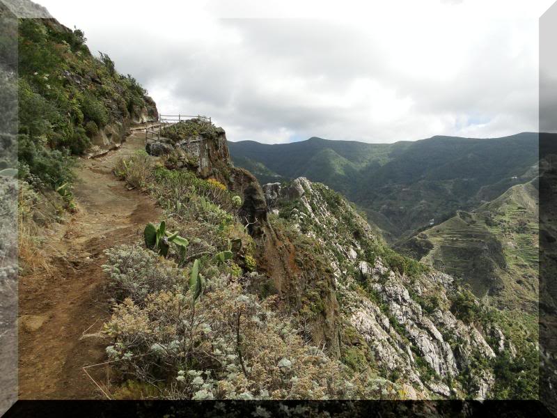 Cruz de Taborno 1.024m. (Tenerife) 91