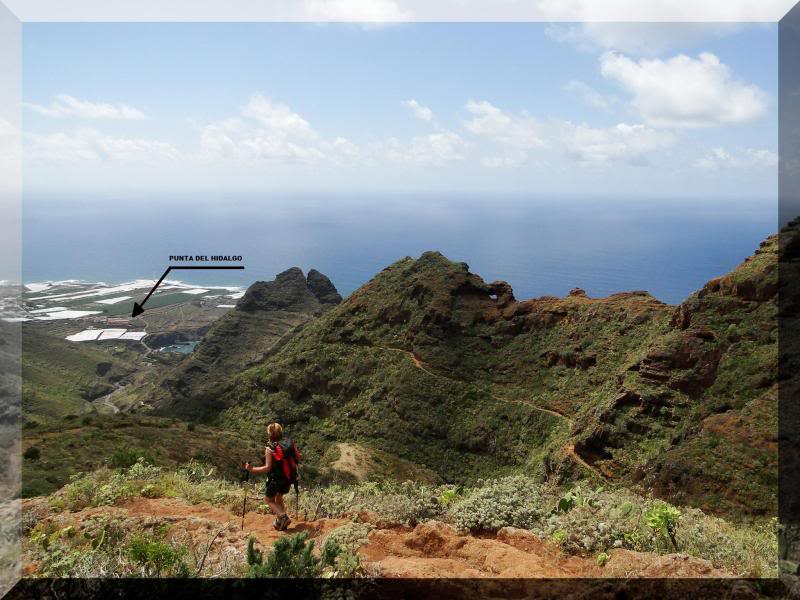 Cruz de Taborno 1.024m. (Tenerife) 92